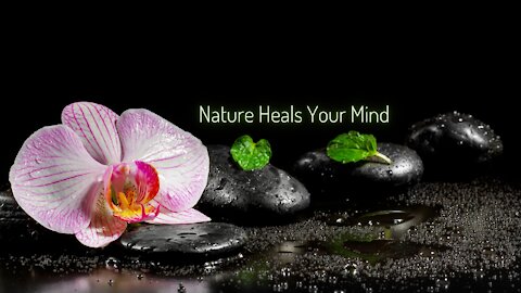 nature heals your mind | nature heals your mind relaxing | nature heals your mind pain | nature heal