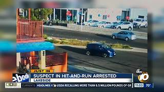 Suspect in hit-and-run arrested