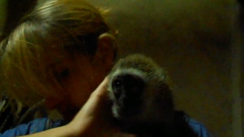 Orphaned baby monkey doesn't want caretaker to leave