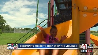 Community picnic to help stop the violence