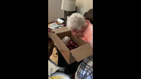 Grandma Brought To Instant Tears When Surprised With New Puppy