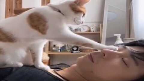 Cat wakes its owner from sleep