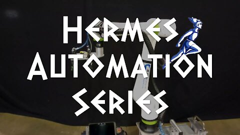 Hermes Automation Series - Mobile Collaborative Palletizer