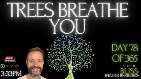 Day 78 - Trees Breathe You