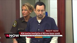 NCAA launches investigation into Michigan State University's handling of Nassar case