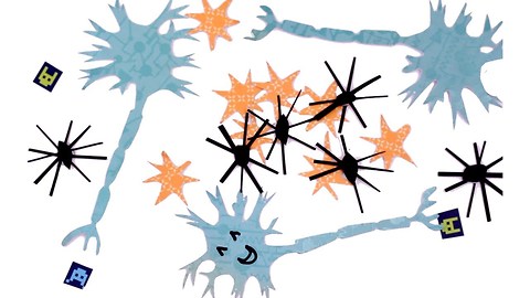 Amazing Brain Cells You've Never Heard of