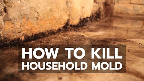 How to Kill Household Mold