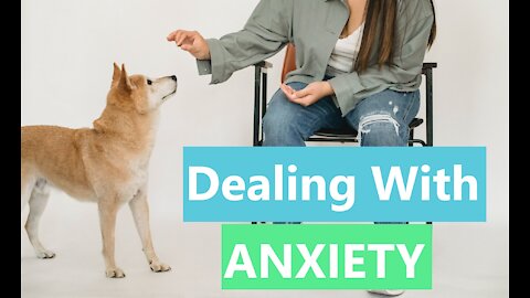 TRAINING FOR ANXIOUS DOG- SEE TRANSFORMATION IN DOG WITH SEPARATION ANXIETY