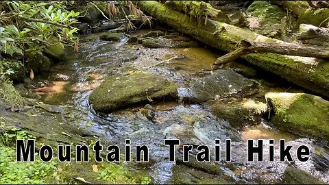 Mountain Trail Hike - Sims