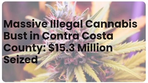 $15.3 Million Illegal Cannabis Bust in Contra Costa County