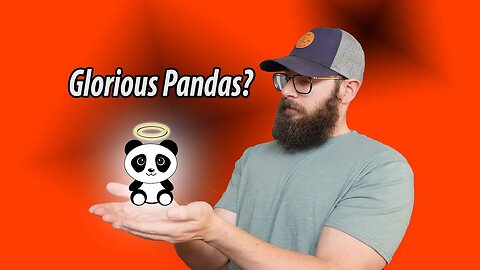 Glorious Panda Switch Review - Search for the Switch Episode 2