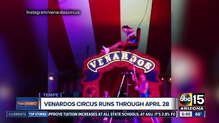 Get ready for the Venardos Circus!