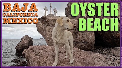 Baja California Mexico + Oyster Beach