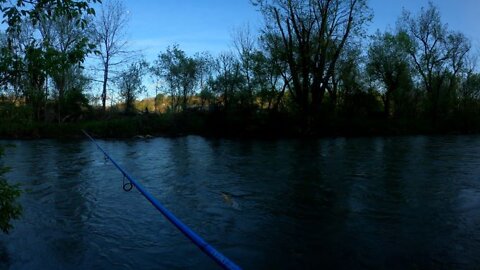 Trout Fishing but I Lose a lot of fish