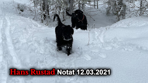 Hans Rustad notat 12.03.2021 Hvem eier landet?