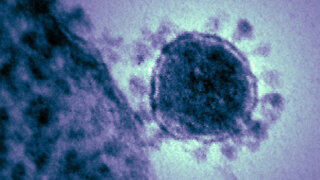 Deadly China Virus Causes Global Panic