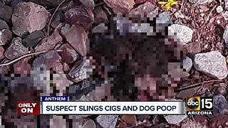 Suspect slings cigarettes and dog poop in Anthem