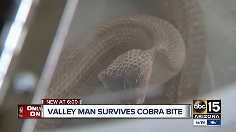 Valley man bitten by cobra had to wait for antivenom to be flown in