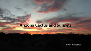 AZ Cactus and Sunsets