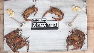 The Baltimore Foodie - Crab Picking
