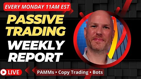 Passive Trading | Weekly Profits Report - November 13, 2023