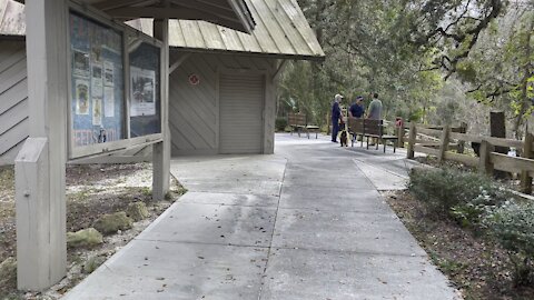 Fanning Springs State Park Part 2- Suwannee, Florida Country Xmas Trip- #4K #FYP # HDR #BlueHole