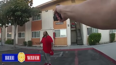 Bodycam Footage Displays San Diego Police Using Taser on Alleged Sexual Assault Suspect
