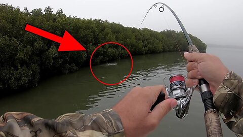 My SLOT tournament sized fish heads right into the mangroves! Fishing Catch and Cook