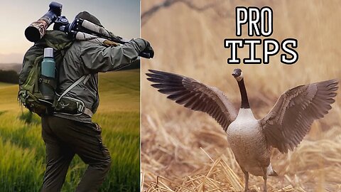 5 Pro TIPS I Wish I KNEW when Starting Wildlife Photography - Advice for BEGINNERS