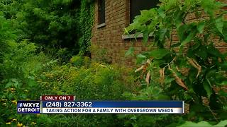 Taking action for Detroit family with overgrown weeds