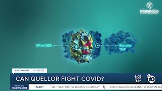 In Depth: Can Quellor fight COVID-19?