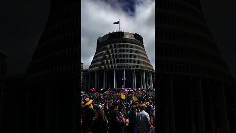 WATCH as THOUSANDS of Kiwis STORM the Parliament House, Chanting "YOU SERVE US" #shorts