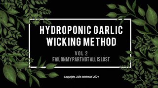 Hydroponic Garlic Indoors Vol 2