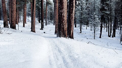 FULL WINTER SNOW HIKE to Rustic Log Cabin Shelter???? | 4K Bandit Springs Sno-Park Prineville Oregon