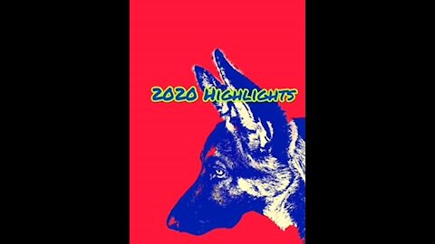 2020 Highlights