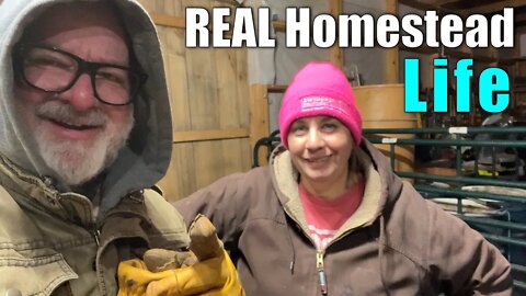 Real Homestead Life | Big Family Homestead