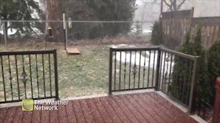Hail covers deck during spring storm in Ontario