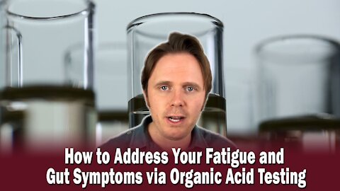 How to Address Your Fatigue and Gut Symptoms via Organic Acid Testing | Podcast #328