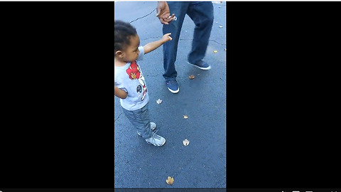 Toddler Has A Strange Fear Of Walking On Leaves