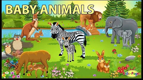 Baby Animals Names and Sounds