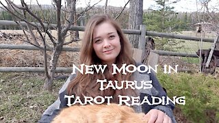 Taurus - New Moon in Taurus