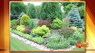 Beautify Your Landscape and Manage Water Where it Falls