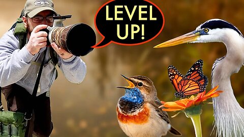 BEGINNER Wildlife Photographers: Level UP your photos with these TIPS!