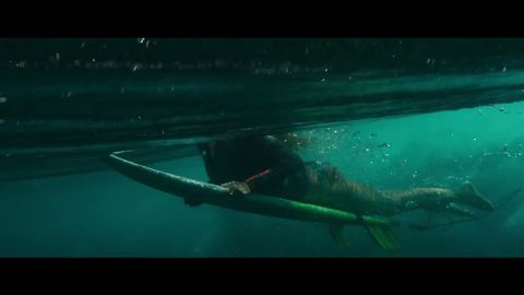 The Shallows First Shark Attack Scene