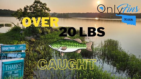 Fishing Unleashed: Epic Bass Fishing at Sportsmans Lake | Over 22 lbs of Largemouth Bass Caught