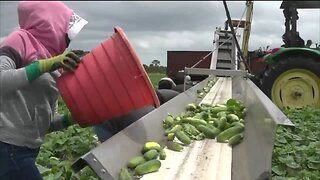 Local human rights organization urges for more support for farmworkers