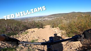 San Diego MTB | Ted Williams