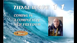 Tidal Wave 11 - End of the Tidal Wave series