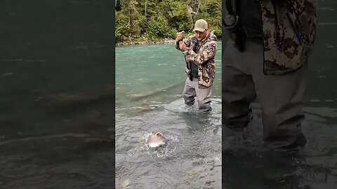 Salmon Fishing Alaskan Rivers