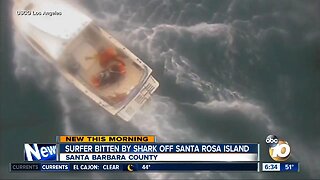 Surfer bitten by shark off Santa Rosa Island